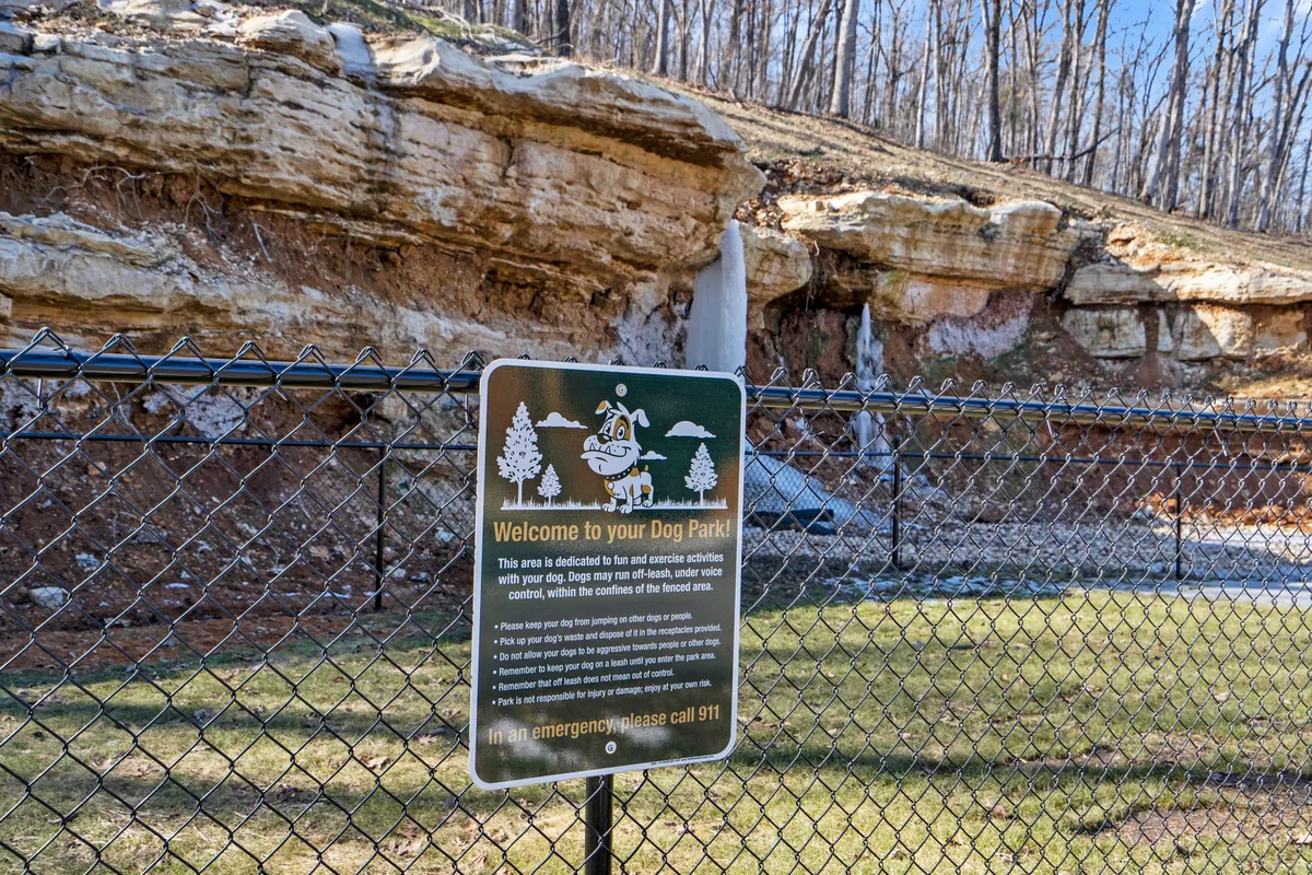 A playful dog park scene with a clear dog park sign, fenced play area, and natural rock features. Dogs and their owners enjoy the open space, embodying a welcoming resort aspect.